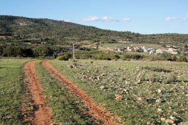 toprak yol bir çayırda