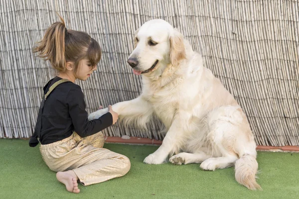 リトル少女と犬 — ストック写真