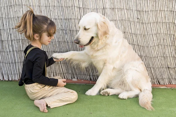 リトル少女と犬 — ストック写真