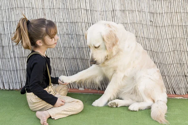 リトル少女と犬 — ストック写真