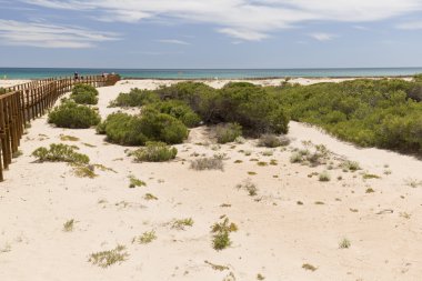 Ağ Geçidi arenales del sol