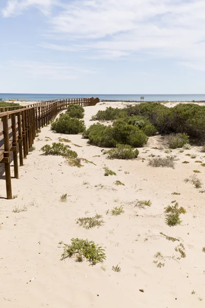 Gateway arenales del sol — Stock Photo, Image