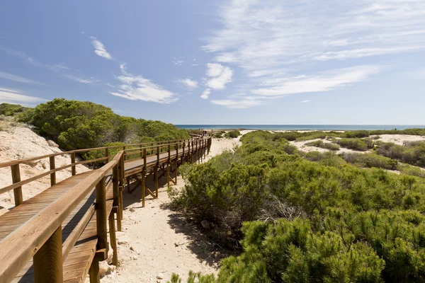 Gateway arenales del sol — Stock Photo, Image