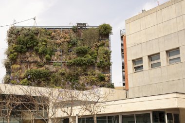 bir binada dikey Bahçe