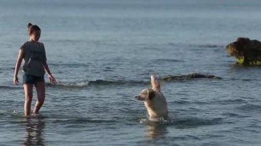 Santa Pola onun köpek ile su kız