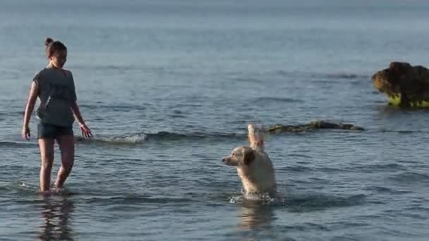 Santa Pola の愛犬と水の中の少女 — ストック動画