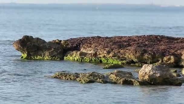 Landschap kust in Santa Pola — Stockvideo