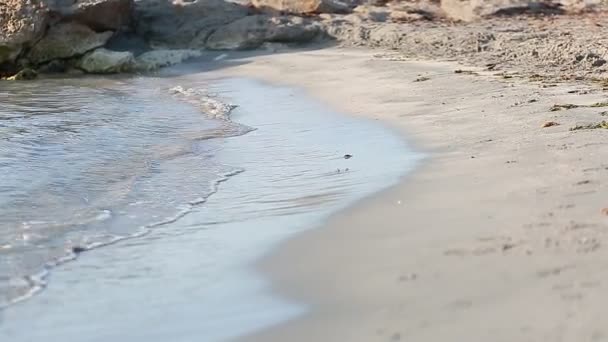 Santa Pola manzara sahil — Stok video