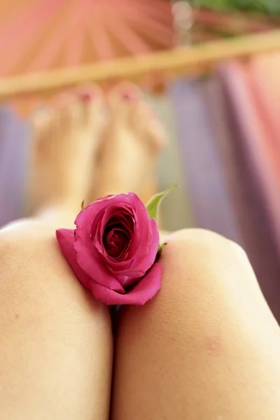 Rose on the knees of a woman — Stock Photo, Image