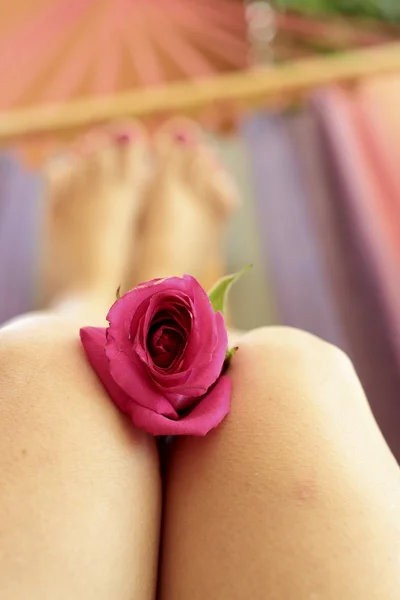Rose on the knees of a woman — Stock Photo, Image