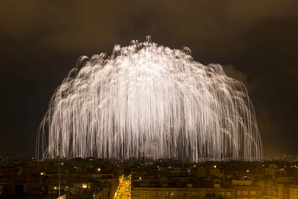 Palmera de la Virgen en la noche de la Alborada en Elche — Foto de Stock