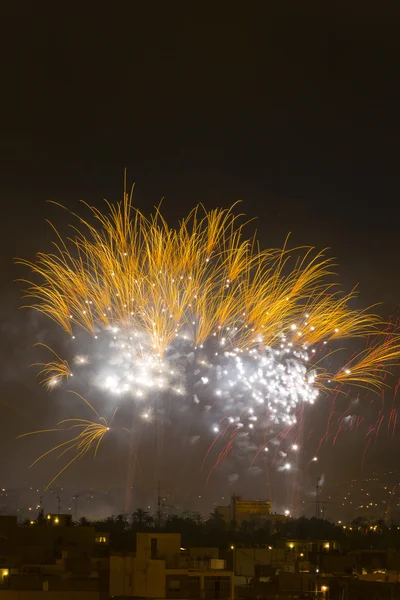 Nuit de feux d'artifice Alborada pendant une heure dans la ville d'Elche . — Photo