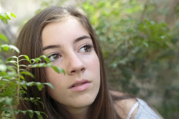 Face of a girl among branches of a tree — Stock Photo, Image