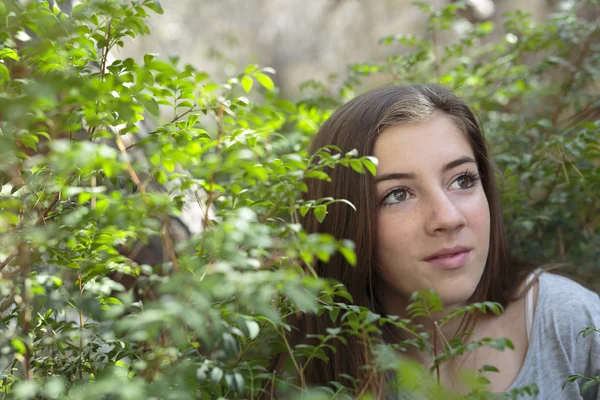 El rostro de una niña entre ramas de un árbol — Foto de Stock