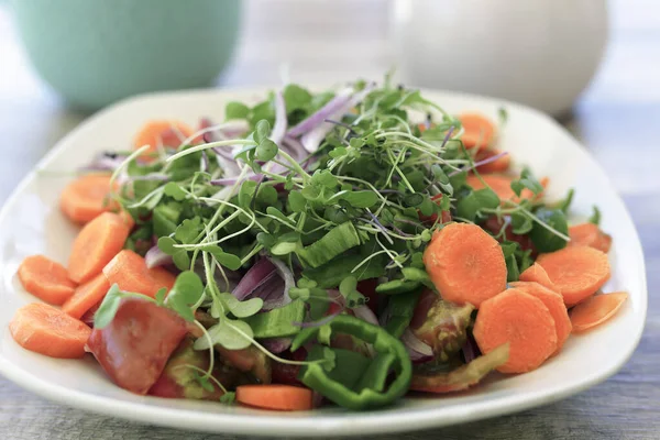 Assiette Salade Avec Légumes Bio Produite Espagne Sur Fond Bois — Photo