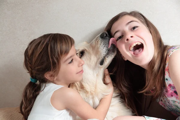 Köpek sahiplerinin öpüşme