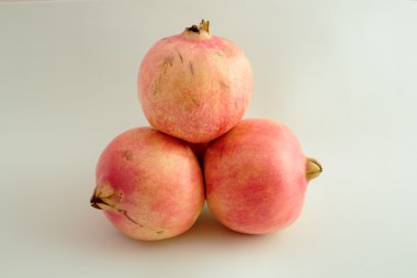 İspanyolca el bombası elche