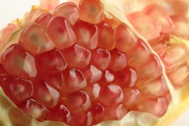 İspanyolca el bombası elche