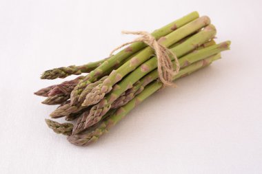 dize ile bağlı mantar grup