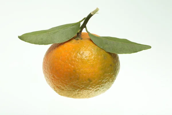 Tangerine mogen frukt — Stockfoto