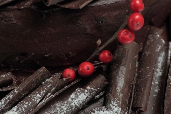 Pastel de chocolate decorado — Foto de Stock