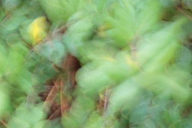 iyice bulanık görüntü