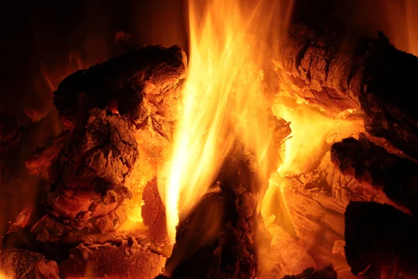 Feuer eines Holzfeuers — Stockfoto