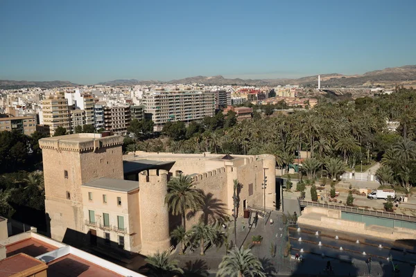 Elche sarayda Altamira