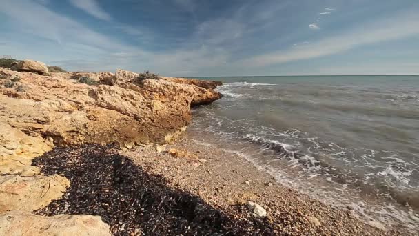 Plage de rochers à Santa Pola — Video