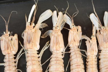 Deniz ürünleri ile doldurulmuş ızgara