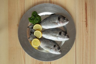 çiğ balık gümüş tepsi