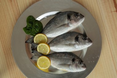 çiğ balık gümüş tepsi