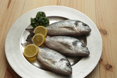 çiğ balık gümüş tepsi