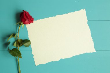 Mavi ahşap arka plan üzerinde kırmızı gül