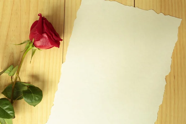 Une rose rouge avec un drap — Photo