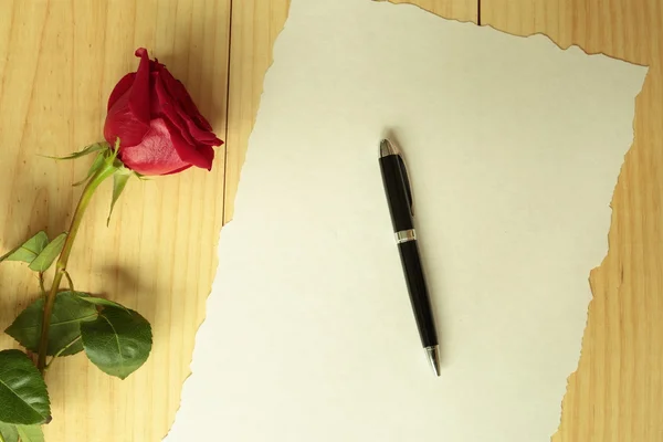 Una rosa roja con una pluma — Foto de Stock