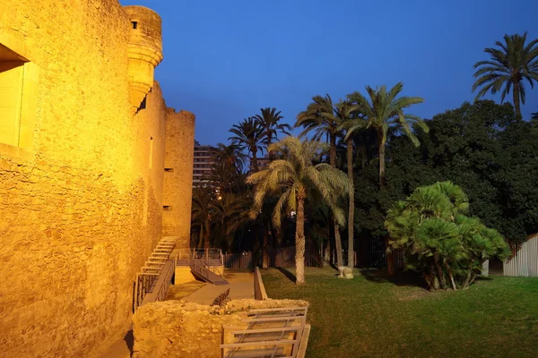 Стіни Альтаміра палац — стокове фото