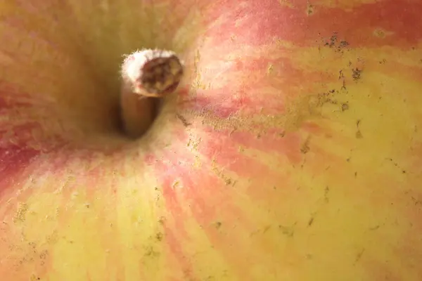 Dettaglio di una mela — Foto Stock