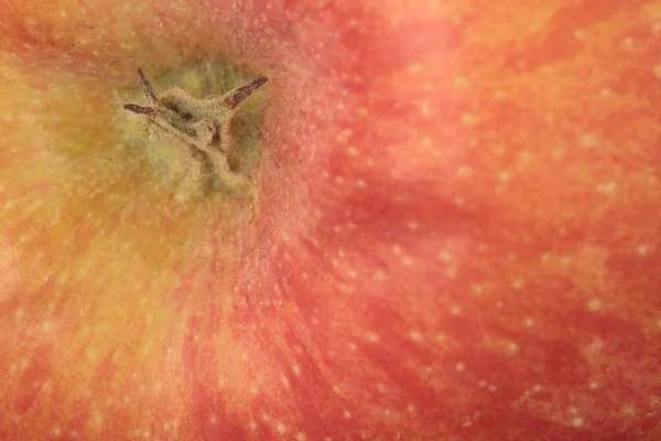 Dettaglio di una mela — Foto Stock