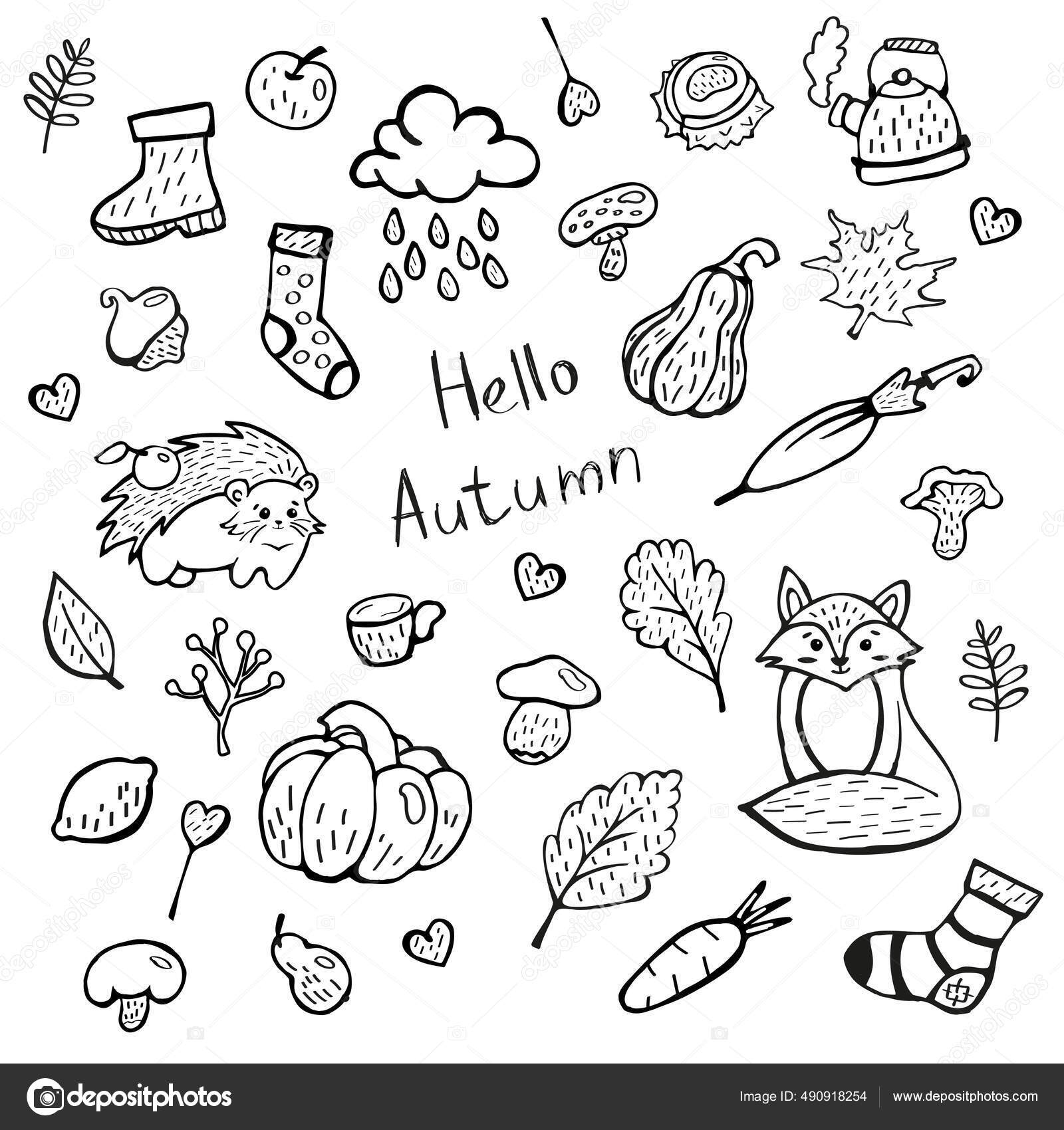 Cute Fall Doodle Set Acorns Hello Autumn Cute Hand Drawings Stock Vector by  ©FrogMugi28 490918254