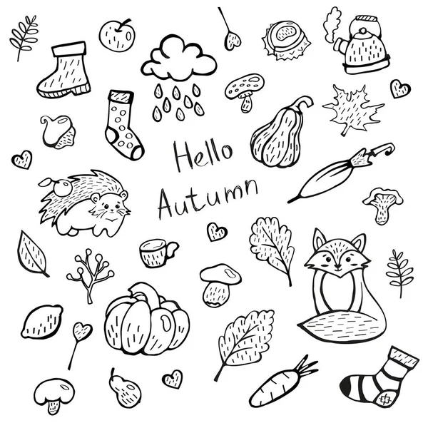 Cute Fall Doodle Set Acorns Hello Autumn Cute Hand Drawings — Διανυσματικό Αρχείο