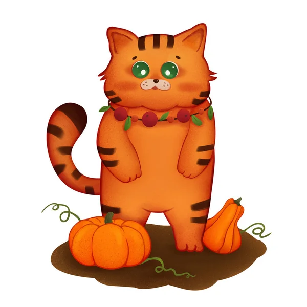 Ingwer Katze Mit Kürbissen Herbstliche Illustration — Stockfoto