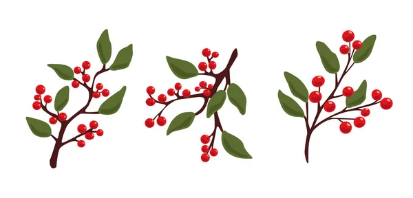 Decorative Branches Berries Leaves Winter Branches Decoration Vector Illustration Branches — Stock Vector