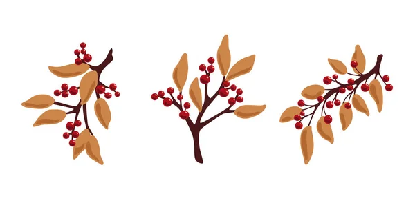 Branches Décoratives Avec Des Baies Des Feuilles Automne Branches Hiver — Image vectorielle