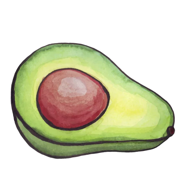 Avokado Akvarell Halv Avokado Stort Fruktben Grönt Bär Vektorillustration — Stock vektor