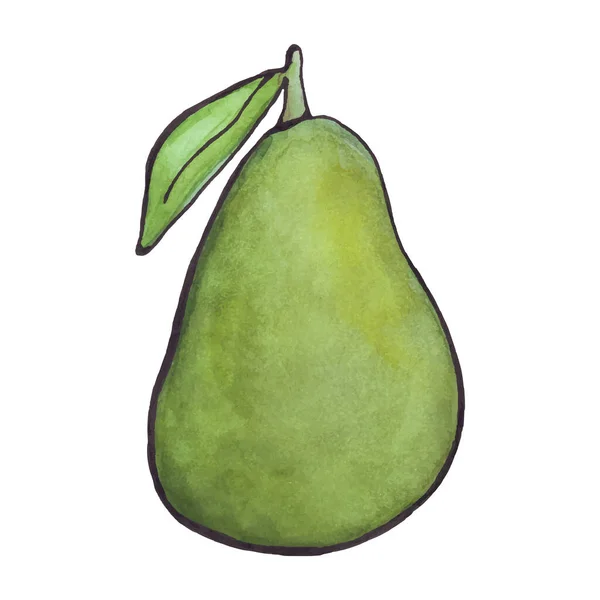 Aguacate Acuarela Pera Baya Verde Fruta Ilustración Vectorial — Archivo Imágenes Vectoriales