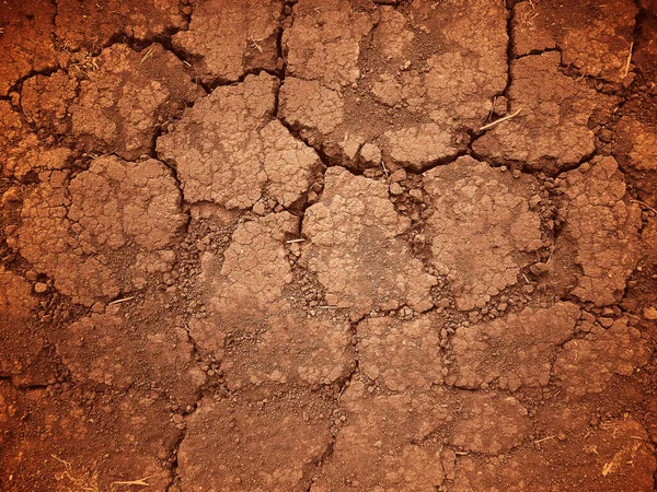 Brown Cracked Dry Desert Soil — Stock Photo, Image