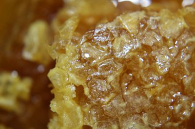 Taze çiftlik balı ve bal peteği yakın plan.