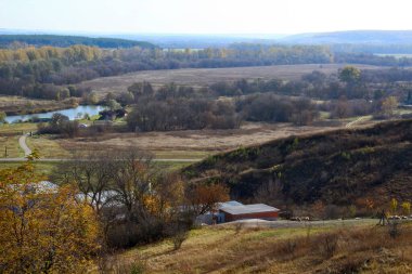 Tarlaları ve ağaçları olan sonbahar manzarası.