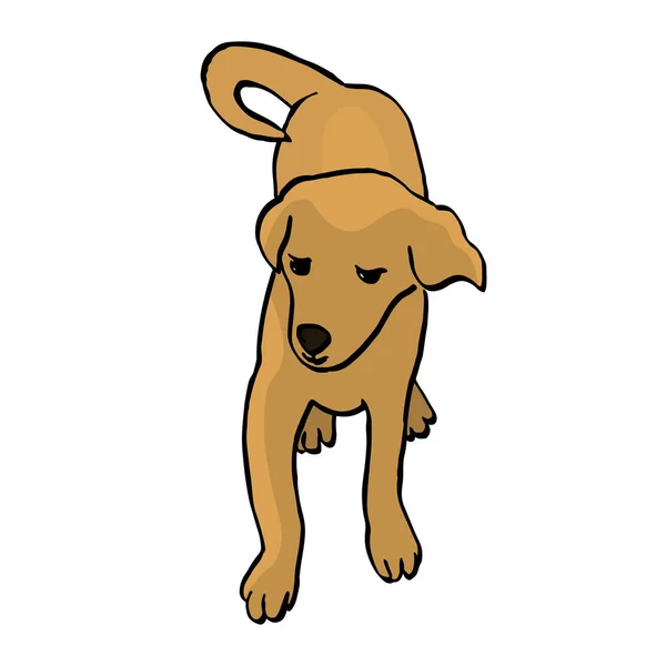 Perro Marrón Aislado Sobre Fondo Blanco — Vector de stock